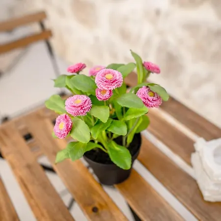 Carlentini House 4* 科米索